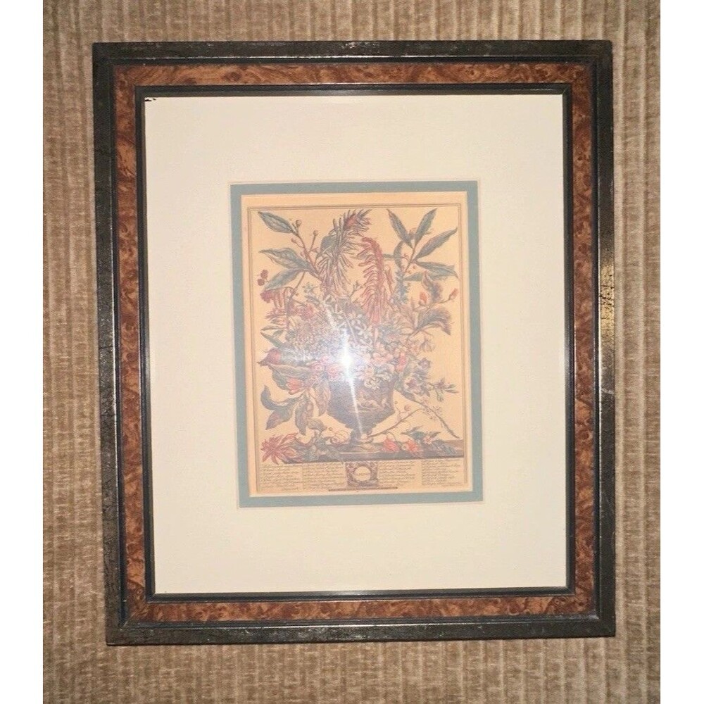 "Twelve Months of Flowers" January Robert Furber Vintage Botanical Framed Print